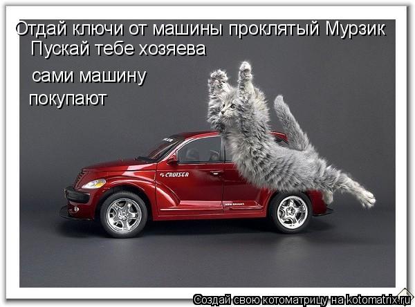 Отдай ключи от машины проклятый Мурзик Пускай тебе хозяева сами машину покупают... Котоматрица: Отдай ключи от машины проклятый Мурзик Пускай тебе хозяева сами машину покупают