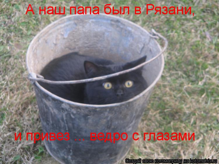 А наш папа был в Рязани, и привез ... ведро с глазами... Котоматрица: А наш папа был в Рязани, и привез ... ведро с глазами