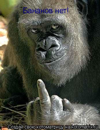 Бананов нет!... Котоматрица: Бананов нет!