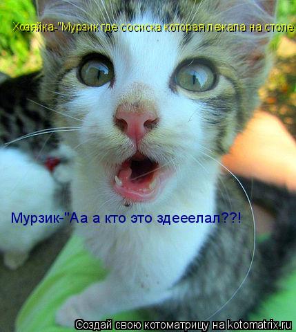 Хозяйка-"Мурзик где сосиска которая лежала на столе а? Мурзик-"Аа а кто это здееелал??!... Котоматрица: Хозяйка-"Мурзик где сосиска которая лежала на столе а? Мурзик-"Аа а кто это здееелал??!