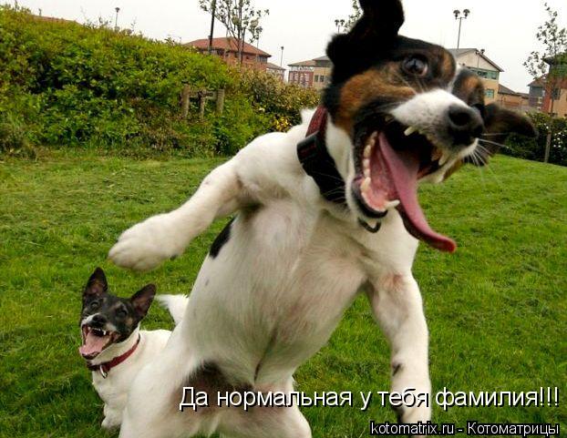 Да нормальная у тебя фамилия!!!... Котоматрица: Да нормальная у тебя фамилия!!!