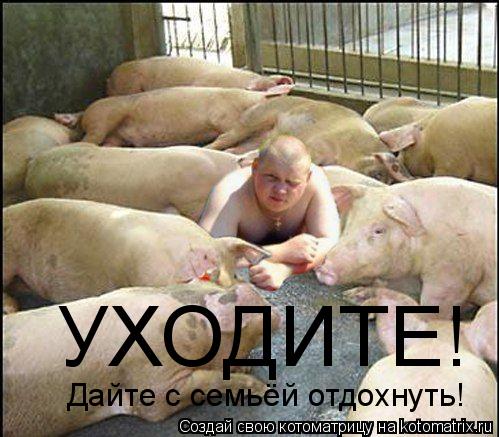 УХОДИТЕ! Дайте с семьёй отдохнуть!... Котоматрица: УХОДИТЕ! Дайте с семьёй отдохнуть!