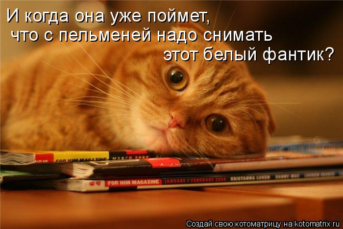 Котоматрица: И когда она уже поймет, что с пельменей надо снимать этот белый фантик?