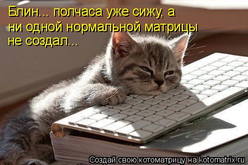 Блин... полчаса уже сижу, а ни одной нормальной матрицы не создал...... Котоматрица: Блин... полчаса уже сижу, а ни одной нормальной матрицы не создал...