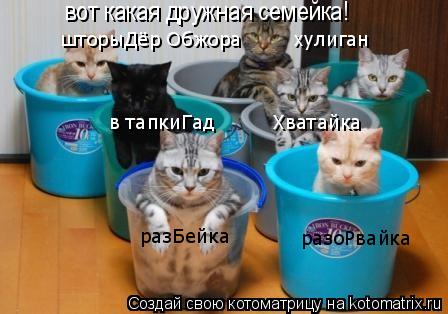 Котоматрица: вот какая дружная семейка! разБейка разоРвайка в тапкиГад         Хватайка шторыДёр Обжора        хулиган