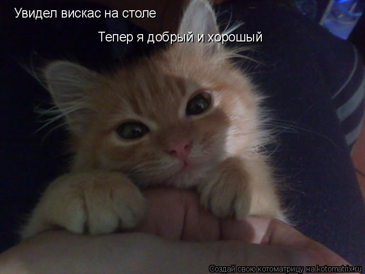 Котоматрица: Увидел вискас на столе Тепер я добрый и хорошый