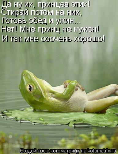 Котоматрица: Да ну их, принцев этих! Стирай потом на них, Готовь обед и ужин...  Нет! Мне принц не нужен! И так мне ооочень хорошо!