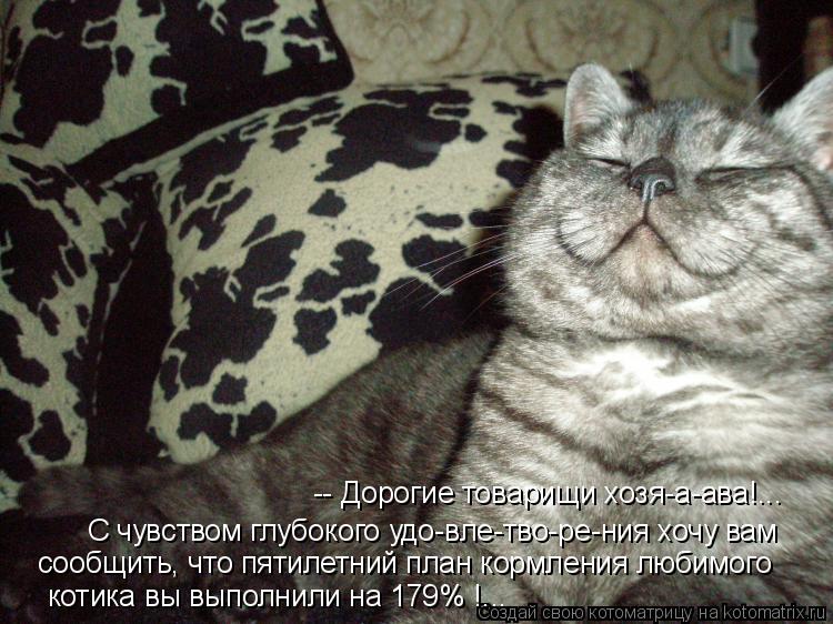 Котоматрица: -- Дорогие товарищи хозя-а-ава!... С чувством глубокого удо-вле-тво-ре-ния хочу вам  сообщить, что пятилетний план кормления любимого  котика в