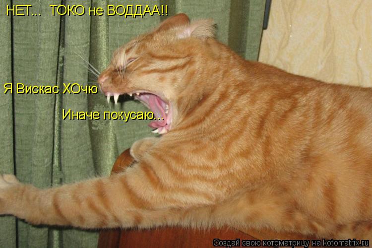 НЕТ... ТОКО не ВОДДАА!! Я Вискас ХОчю Иначе покусаю...... Котоматрица: НЕТ... ТОКО не ВОДДАА!! Я Вискас ХОчю Иначе покусаю...