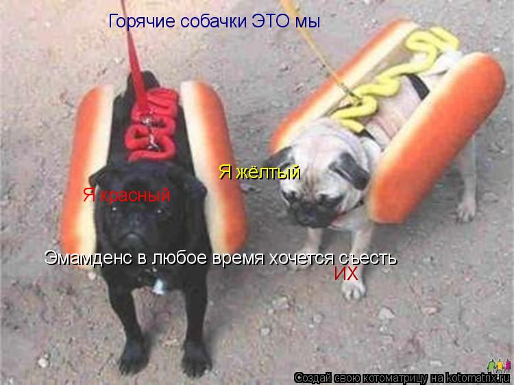Котоматрица: Горячие собачки ЭТО мы Я красный  Я жёлтый Эмамденс в любое время хочется съесть  ИХ