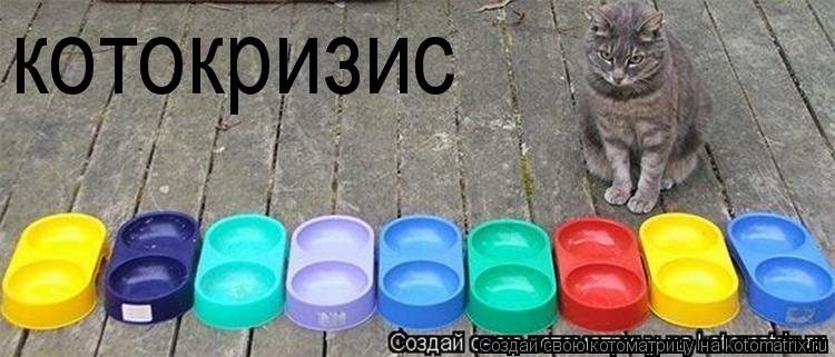 Котоматрица: котокризис