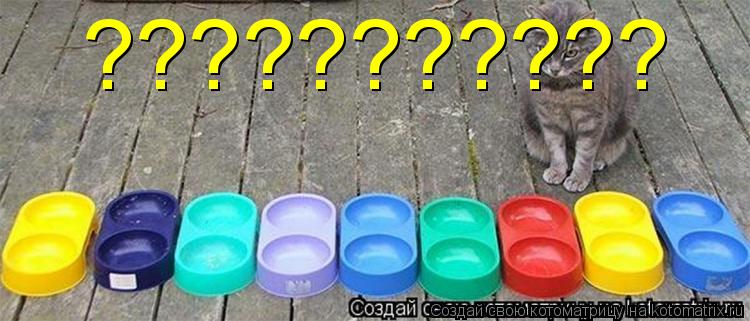 Котоматрица: ???????????