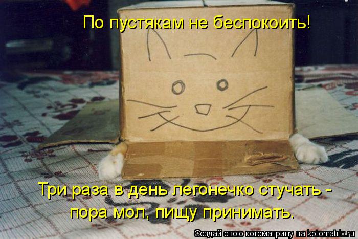 По пустякам не беспокоить! Три раза в день легонечко стучать - пора мол, пищу принимать.... Котоматрица: По пустякам не беспокоить! Три раза в день легонечко стучать - пора мол, пищу принимать.