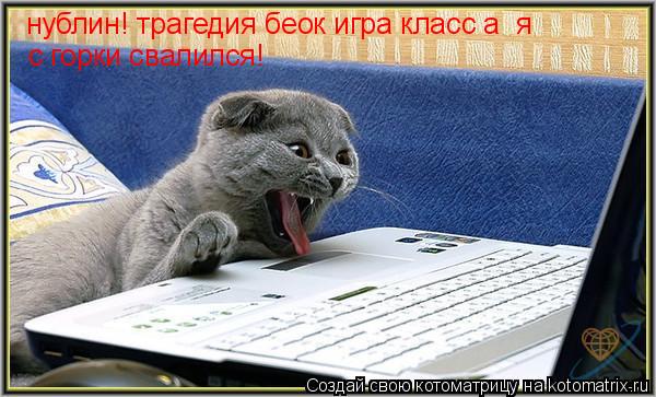 Котоматрица: нублин! трагедия беок игра класс а  я   с горки свалился!