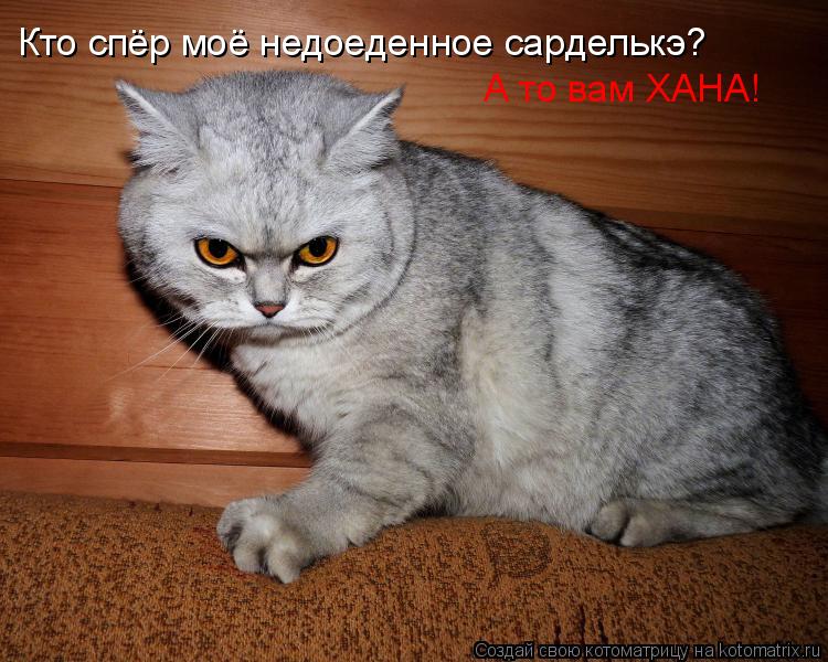 Кто спёр моё недоеденное сарделькэ? А то вам ХАНА!... Котоматрица: Кто спёр моё недоеденное сарделькэ? А то вам ХАНА!