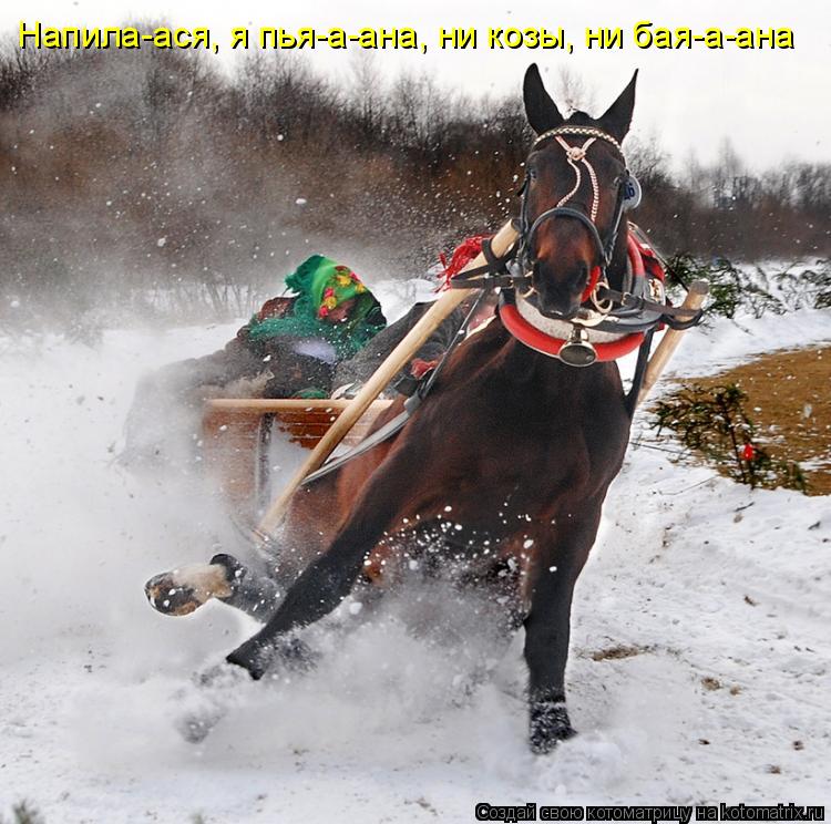 Напила-ася, я пья-а-ана, ни козы, ни бая-а-ана... Котоматрица: Напила-ася, я пья-а-ана, ни козы, ни бая-а-ана