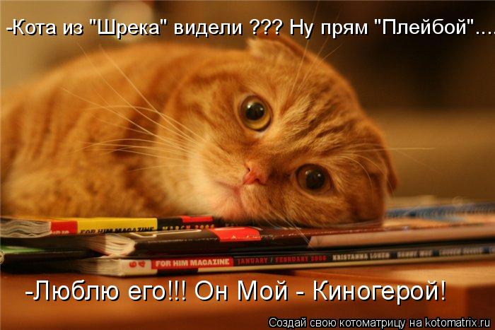 -Кота из "Шрека" видели ??? Ну прям "Плейбой"..... -Люблю его!!! Он Мой - Киногерой!... Котоматрица: -Кота из "Шрека" видели ??? Ну прям "Плейбой"..... -Люблю его!!! Он Мой - Киногерой!