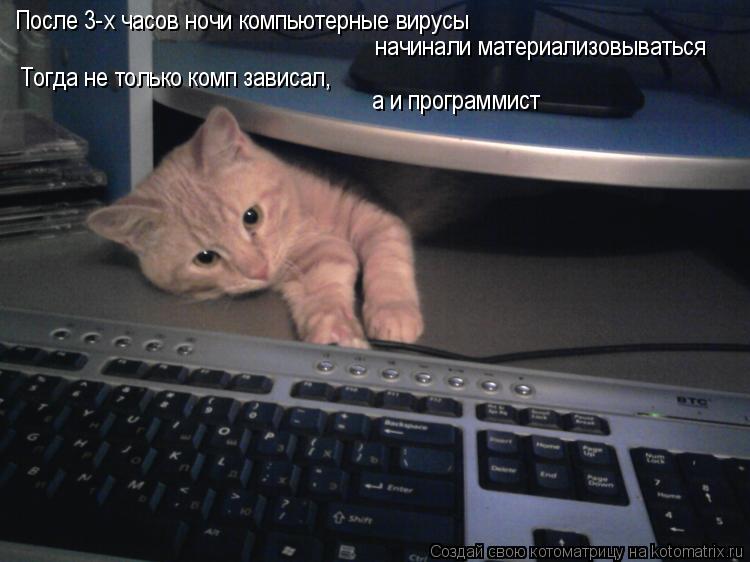 После 3-х часов ночи компьютерные вирусы начинали материализовываться Тогда не только комп зависал, ... Котоматрица: После 3-х часов ночи компьютерные вирусы начинали материализовываться Тогда не только комп зависал, а и программист