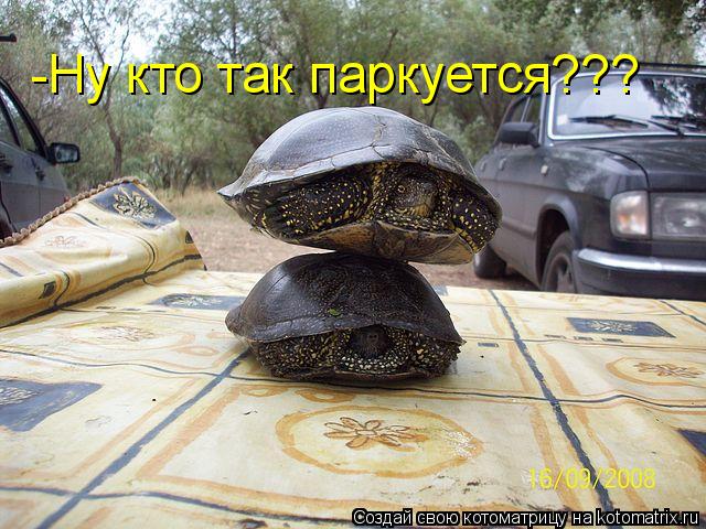 -Ну кто так паркуется???... Котоматрица: -Ну кто так паркуется???