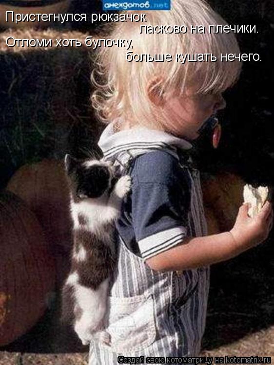Пристегнулся рюкзачок ласково на плечики. больше кушать нечего. Отломи хоть булочку,... Котоматрица: Пристегнулся рюкзачок ласково на плечики. больше кушать нечего. Отломи хоть булочку,