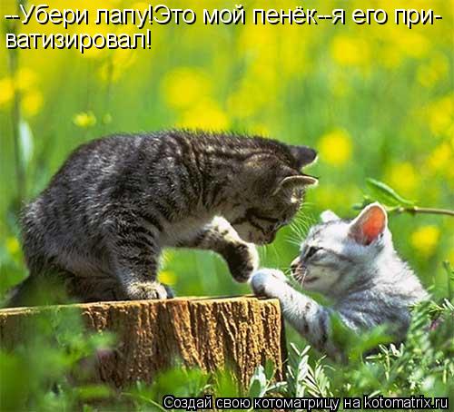 --Убери лапу!Это мой пенёк--я его при- ватизировал!... Котоматрица: --Убери лапу!Это мой пенёк--я его при- ватизировал!