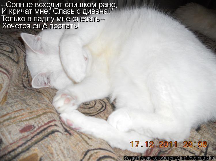 --Солнце всходит слишком рано, И кричат мне:"Слазь с дивана!" Только в падлу мне слезать-- Хочется ещ... Котоматрица: --Солнце всходит слишком рано, И кричат мне:"Слазь с дивана!" Только в падлу мне слезать-- Хочется ещё поспать!