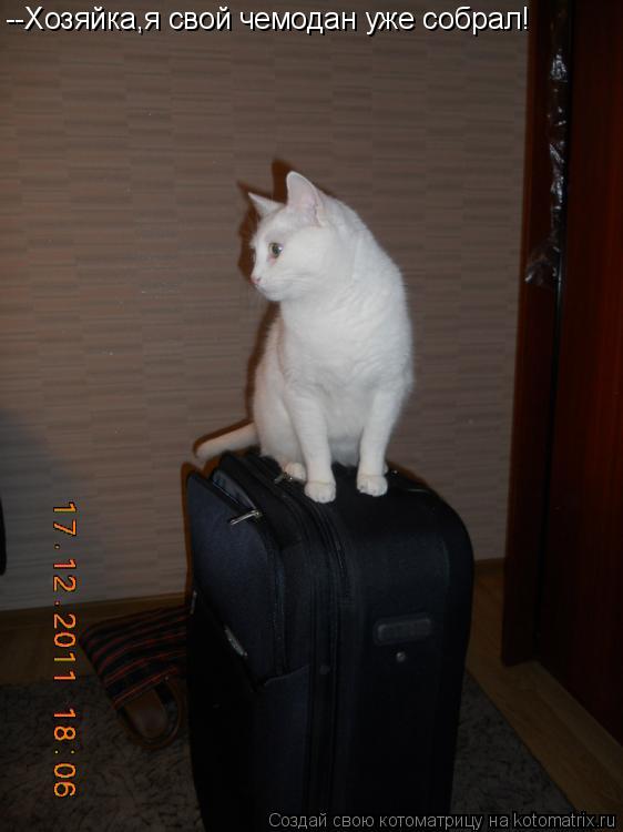 --Хозяйка,я свой чемодан уже собрал!... Котоматрица: --Хозяйка,я свой чемодан уже собрал!