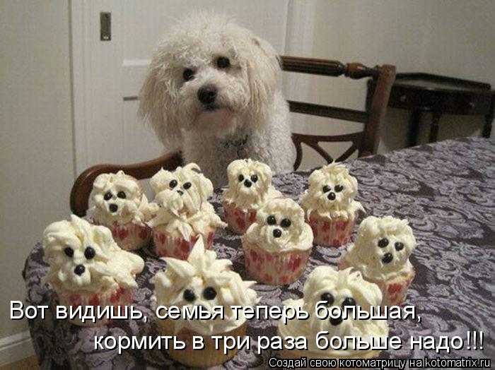 Вот видишь, семья теперь большая, кормить в три раза больше надо!!!... Котоматрица: Вот видишь, семья теперь большая, кормить в три раза больше надо!!!