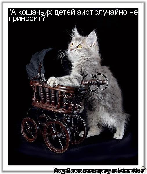 "А кошачьих детей аист,случайно,не приносит?"... Котоматрица: "А кошачьих детей аист,случайно,не приносит?"