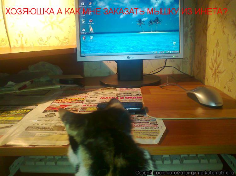 ХОЗЯЮШКА А КАК МНЕ ЗАКАЗАТЬ МЫШКУ ИЗ ИНЕТА?... Котоматрица: ХОЗЯЮШКА А КАК МНЕ ЗАКАЗАТЬ МЫШКУ ИЗ ИНЕТА?