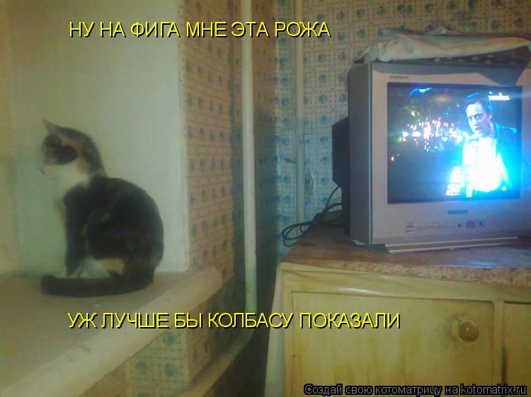 НУ НА ФИГА МНЕ ЭТА РОЖА УЖ ЛУЧШЕ БЫ КОЛБАСУ ПОКАЗАЛИ... Котоматрица: НУ НА ФИГА МНЕ ЭТА РОЖА УЖ ЛУЧШЕ БЫ КОЛБАСУ ПОКАЗАЛИ