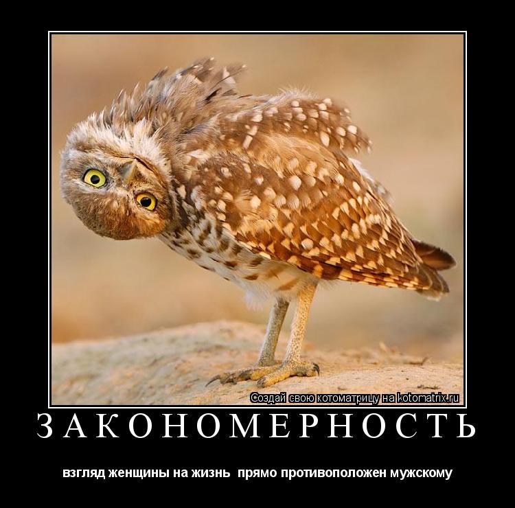 Котоматрица: закономерность взгляд женщины на жизнь  прямо противоположен мужскому