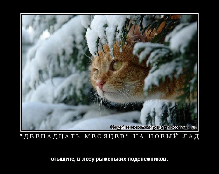 Котоматрица: "ДВЕНАДЦАТЬ МЕСЯЦЕВ" НА НОВЫЙ ЛАД отыщите, в лесу рыженьких подснежников.