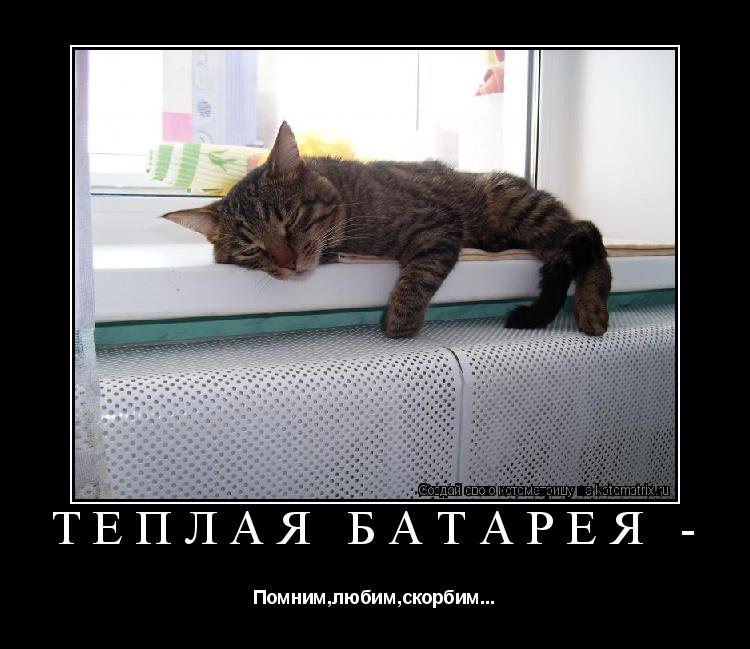 Котоматрица: Тёплая батарея -  Помним,любим,скорбим...