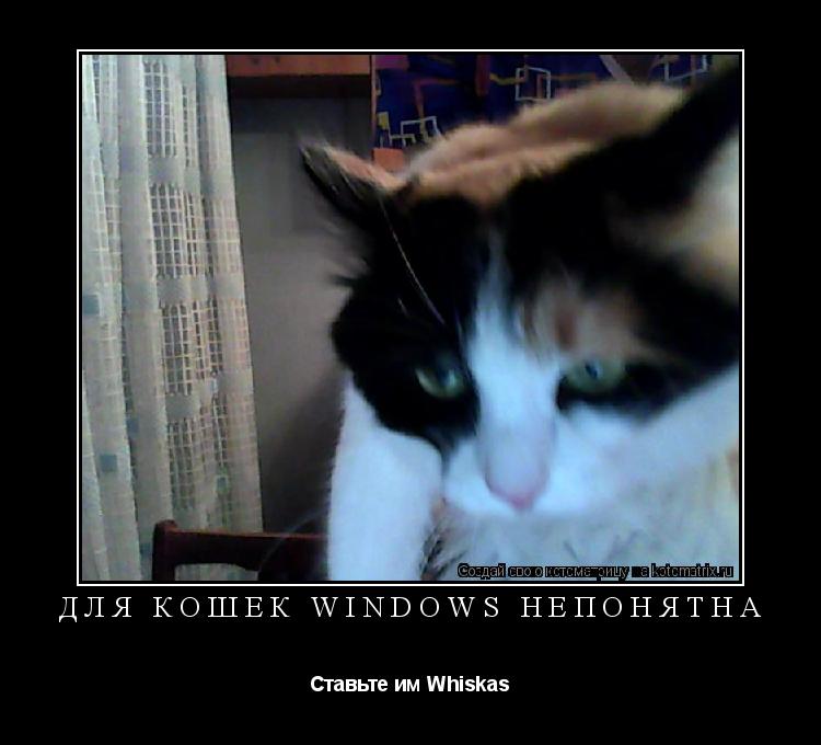 Котоматрица: ДЛЯ КОШЕК WINDOWS НЕПОНЯТНА Ставьте им Whiskas
