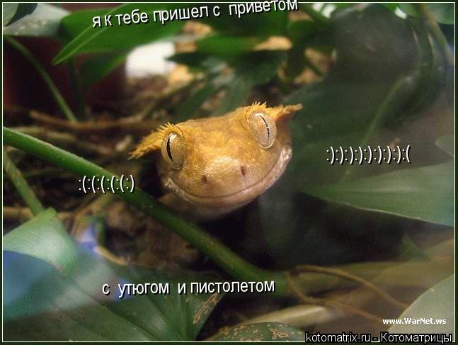 я к тебе пришел с приветом с утюгом и пистолетом :):):):):):):):):( :(:(:(:(:(:)... Котоматрица: я к тебе пришел с приветом с утюгом и пистолетом :):):):):):):):):( :(:(:(:(:(:)