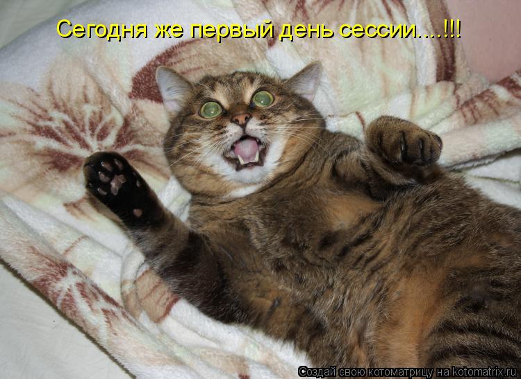 Сегодня же первый день сессии....!!!... Котоматрица: Сегодня же первый день сессии....!!!