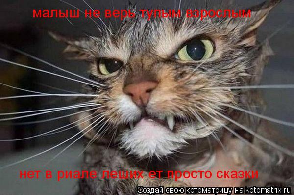 малыш не верь тупым взрослым нет в риале леших ет просто сказки... Котоматрица: малыш не верь тупым взрослым нет в риале леших ет просто сказки