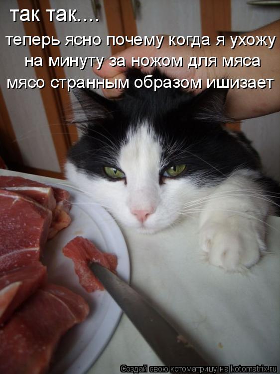 так так.... теперь ясно почему когда я ухожу на минуту за ножом для мяса мясо странным образом ишизае... Котоматрица: так так.... теперь ясно почему когда я ухожу на минуту за ножом для мяса мясо странным образом ишизает