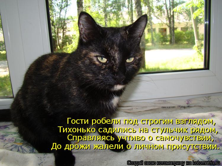 Гости робели под строгим взглядом, Тихонько садились на стульчик рядом, Справляясь учтиво о самочув... Котоматрица: Гости робели под строгим взглядом, Тихонько садились на стульчик рядом, Справляясь учтиво о самочувствии, Справляясь учтиво о самочувств