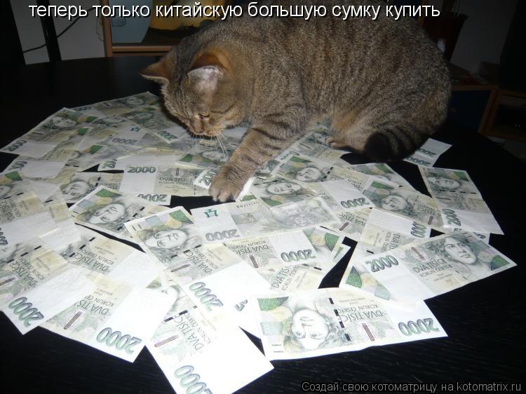 теперь только китайскую большую сумку купить... Котоматрица: теперь только китайскую большую сумку купить