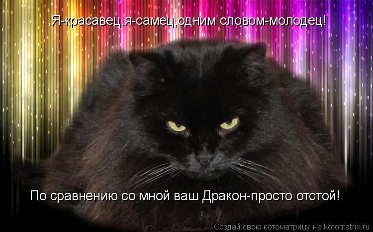 Я-красавец.я-самец,одним словом-молодец! По сравнению со мной ваш Дракон-просто отстой!... Котоматрица: Я-красавец.я-самец,одним словом-молодец! По сравнению со мной ваш Дракон-просто отстой!