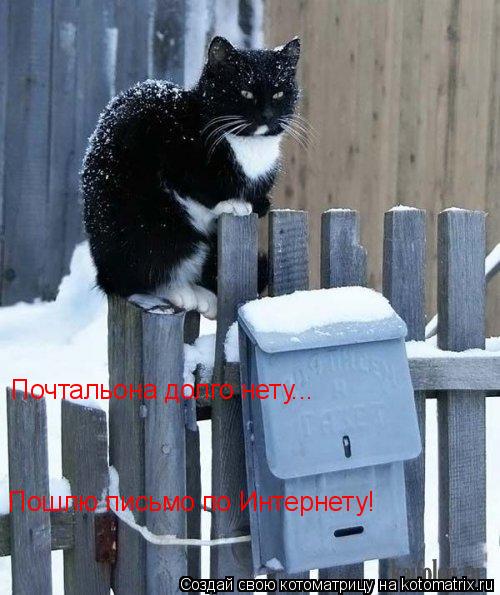 Почтальона долго нету... Пошлю письмо по Интернету!... Котоматрица: Почтальона долго нету... Пошлю письмо по Интернету!