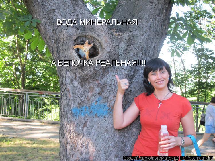 ВОДА МИНЕРАЛЬНАЯ, А БЕЛОЧКА РЕАЛЬНАЯ!!!!... Котоматрица: ВОДА МИНЕРАЛЬНАЯ, А БЕЛОЧКА РЕАЛЬНАЯ!!!!