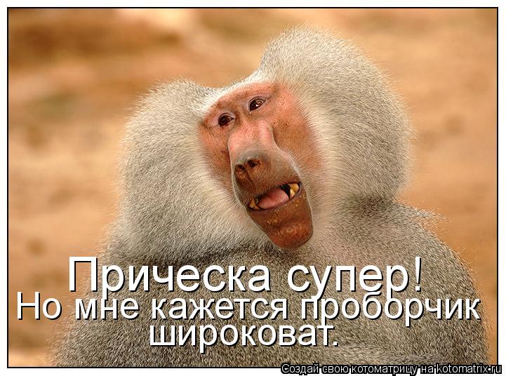 Котоматрица: Прическа супер! Но мне кажется проборчик широковат.