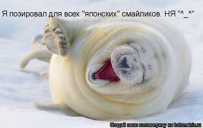 Я позировал для всех "японских" смайликов. НЯ "^_^"... Котоматрица: Я позировал для всех "японских" смайликов. НЯ "^_^"
