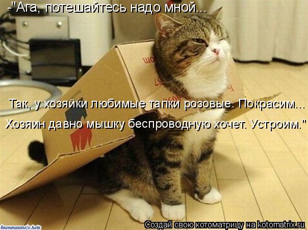 -"Ага, потешайтесь надо мной... Так, у хозяйки любимые тапки розовые. Покрасим... Хозяин давно мышк... Котоматрица: -"Ага, потешайтесь надо мной... Так, у хозяйки любимые тапки розовые. Покрасим... Хозяин давно мышку беспроводную хочет. Устроим."