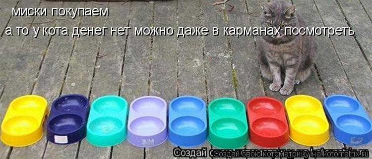 Котоматрица: миски покупаем а то у кота денег нет можно даже в карманах посмотреть