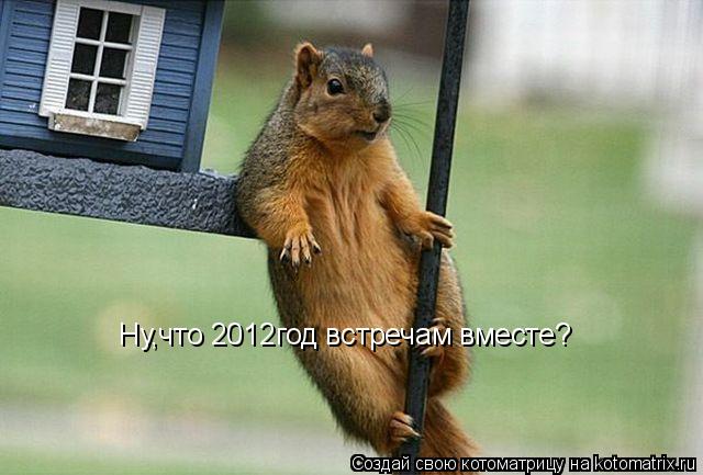 Ну,что 2012год встречам вместе?... Котоматрица: Ну,что 2012год встречам вместе?