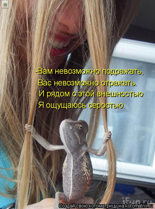 -Вам невозможно подражать, Вас невозможно отражать. И рядом с этой внешностью Я ощущаюсь серостью.... Котоматрица: -Вам невозможно подражать, Вас невозможно отражать. И рядом с этой внешностью Я ощущаюсь серостью.